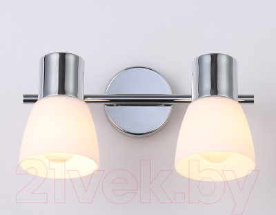 Спот Ambrella Traditional TR3963