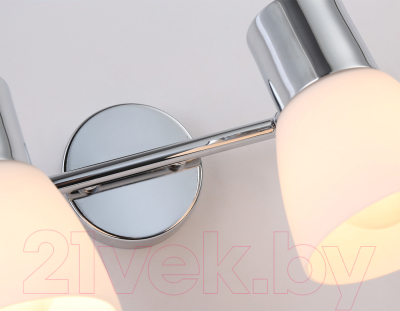 Спот Ambrella Traditional TR3963