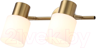 Спот Ambrella Traditional TR3969 - фото