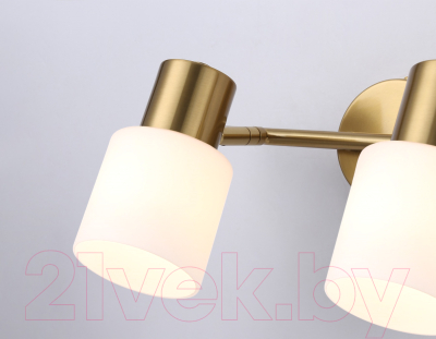 Спот Ambrella Traditional TR3969