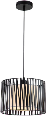 Потолочный светильник ESCADA 10181/1S (черный/серебристый) - фото