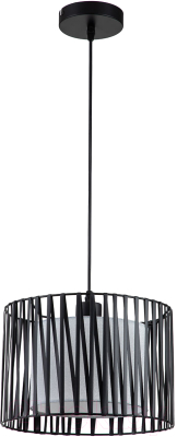 Потолочный светильник ESCADA 10181/1S (черный/серебристый)