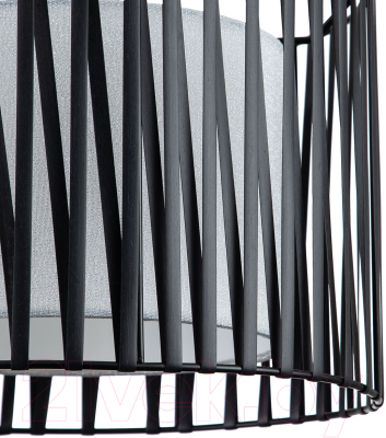 Потолочный светильник ESCADA 10181/1S (черный/серебристый)