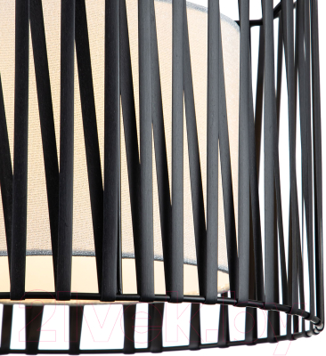 Потолочный светильник ESCADA 10181/1S (черный/серебристый)