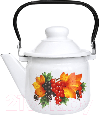 Чайник Эмаль 01-27071/4М - фото