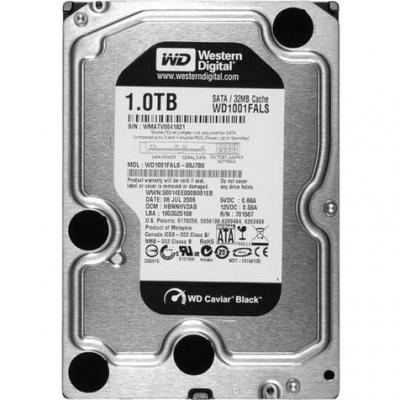 Жесткий диск Western Digital Black 1TB (WD1003FZEX) - фото