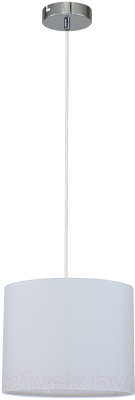 Потолочный светильник ESCADA 10175/1S (хром)