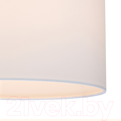 Потолочный светильник ESCADA 10175/1S (хром)