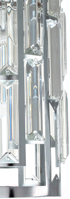 Потолочный светильник ESCADA 2101/1S