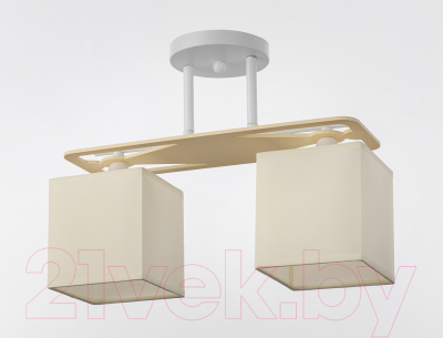 Потолочный светильник ESCADA 1117/2PL (хром/белый)