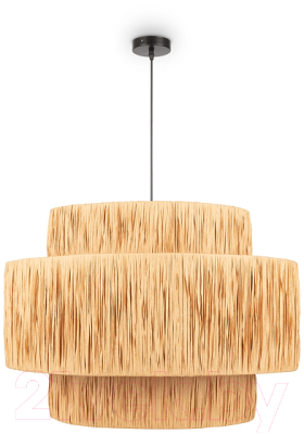 Потолочный светильник Freya AvaGarden FR5249PL-03BG