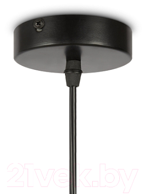 Потолочный светильник Freya AvaGarden FR5249PL-03BG