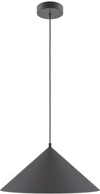 Потолочный светильник Maytoni Basic Colors MOD167PL-01B - фото