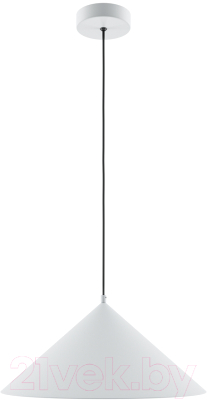 Потолочный светильник Maytoni Basic Colors MOD167PL-01W - фото