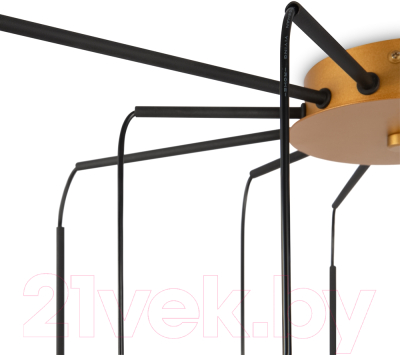 Люстра Maytoni Branch MOD176PL-12G