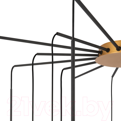 Люстра Maytoni Branch MOD176PL-16G