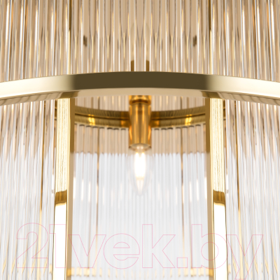 Потолочный светильник Maytoni Frame MOD174CL-09G