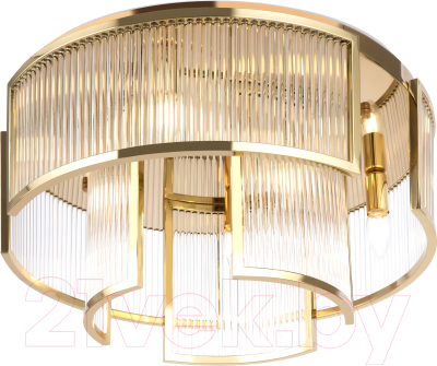 Потолочный светильник Maytoni Frame MOD174CL-06G - фото