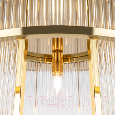 Потолочный светильник Maytoni Frame MOD174CL-06G