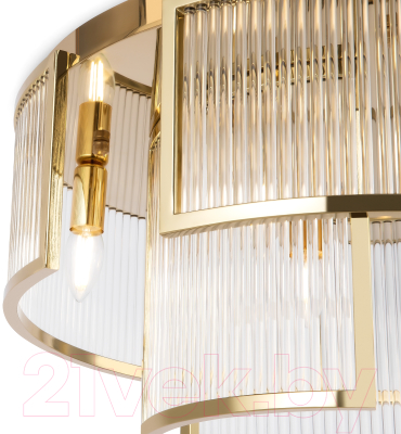 Потолочный светильник Maytoni Frame MOD174CL-06G