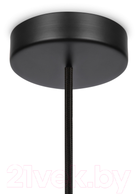 Потолочный светильник Maytoni Memory MOD177PL-01G