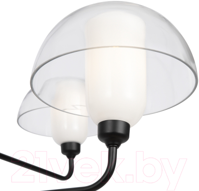 Люстра Maytoni Memory MOD177PL-04B