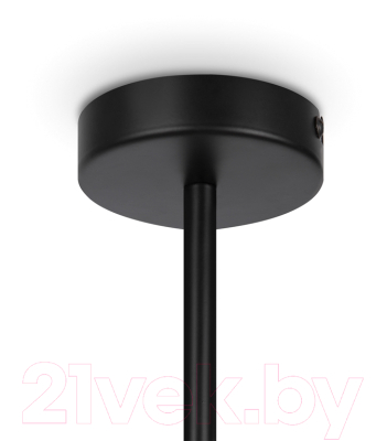 Люстра Maytoni Memory MOD177PL-04B