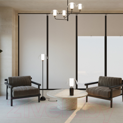 Люстра Maytoni Memory MOD177PL-04B