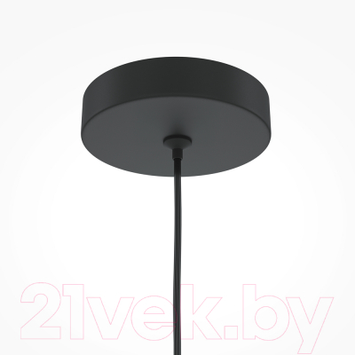 Потолочный светильник Maytoni Pro Focus MOD161PL-01B1