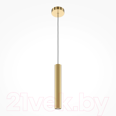 Потолочный светильник Maytoni Pro Focus MOD161PL-01BS1 