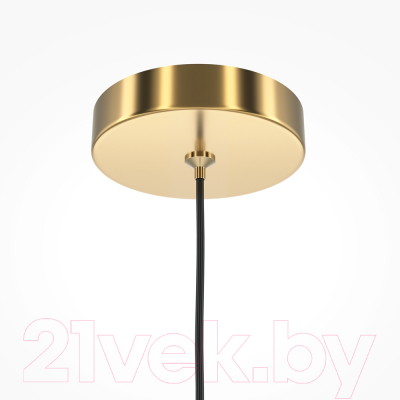 Потолочный светильник Maytoni Pro Focus MOD161PL-01BS1 