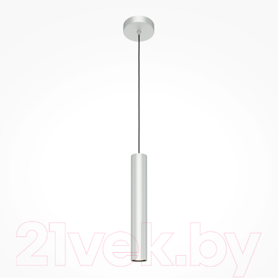 Потолочный светильник Maytoni Pro Focus MOD161PL-01CM1 