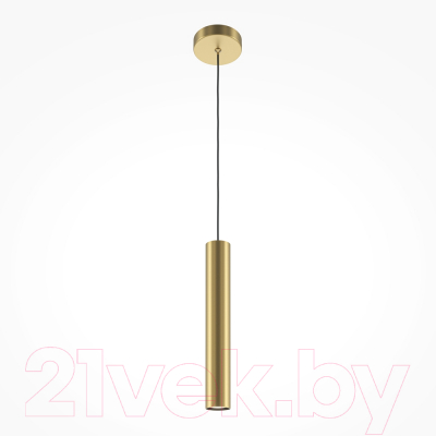 Потолочный светильник Maytoni Pro Focus MOD161PL-01G1 