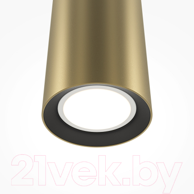 Потолочный светильник Maytoni Pro Focus MOD161PL-01G1 