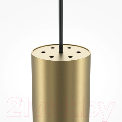 Потолочный светильник Maytoni Pro Focus MOD161PL-01G1 