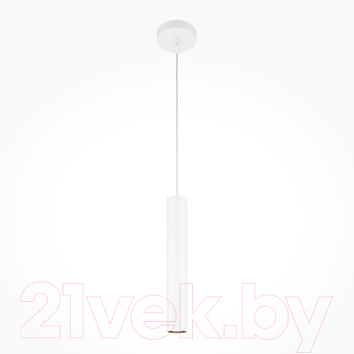 Потолочный светильник Maytoni Pro Focus MOD161PL-01W1 