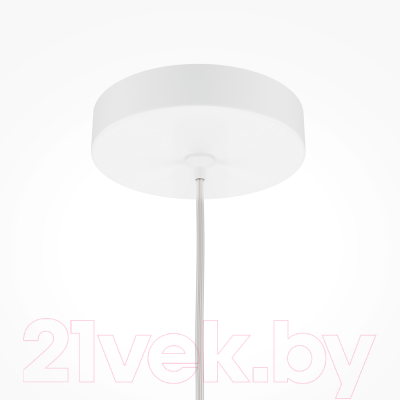 Потолочный светильник Maytoni Pro Focus MOD161PL-01W1 