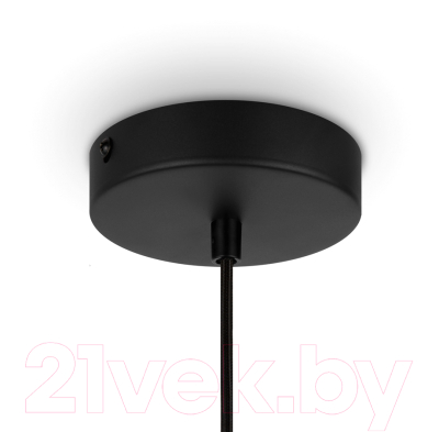 Потолочный светильник Maytoni Roots MOD193PL-01W