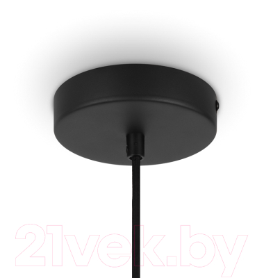 Потолочный светильник Maytoni Roots MOD194PL-01W