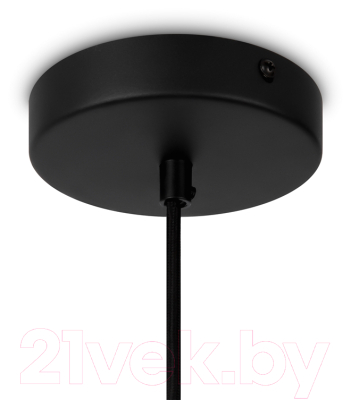 Потолочный светильник Maytoni Roots MOD195PL-01W1