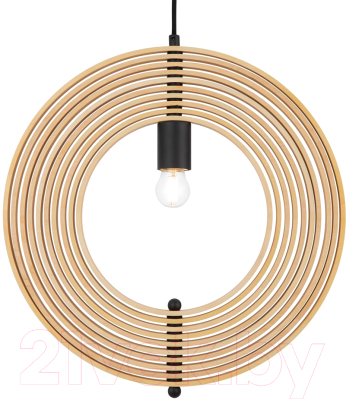 Потолочный светильник Maytoni Roots MOD197PL-01W