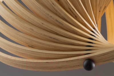 Потолочный светильник Maytoni Roots MOD197PL-01W