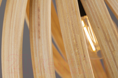 Потолочный светильник Maytoni Roots MOD197PL-01W