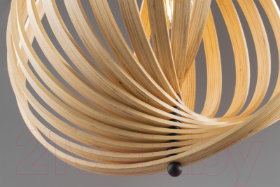 Потолочный светильник Maytoni Roots MOD197PL-01W