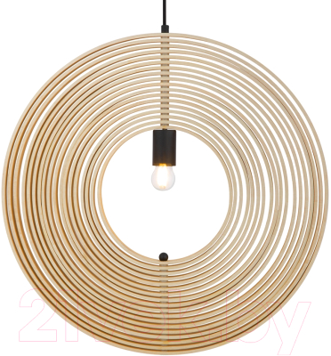 Потолочный светильник Maytoni Roots MOD197PL-01W2 