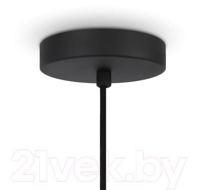 Потолочный светильник Maytoni Roots MOD197PL-01W2 