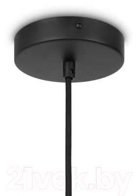 Потолочный светильник Maytoni Roots MOD197PL-01W1 