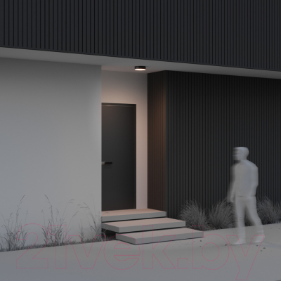 Светильник уличный Maytoni Zon IP O431CL-L30B3K