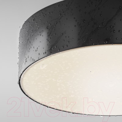 Светильник уличный Maytoni Zon IP O431CL-L30B4K