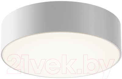 Светильник уличный Maytoni Zon IP O431CL-L30W4K - фото